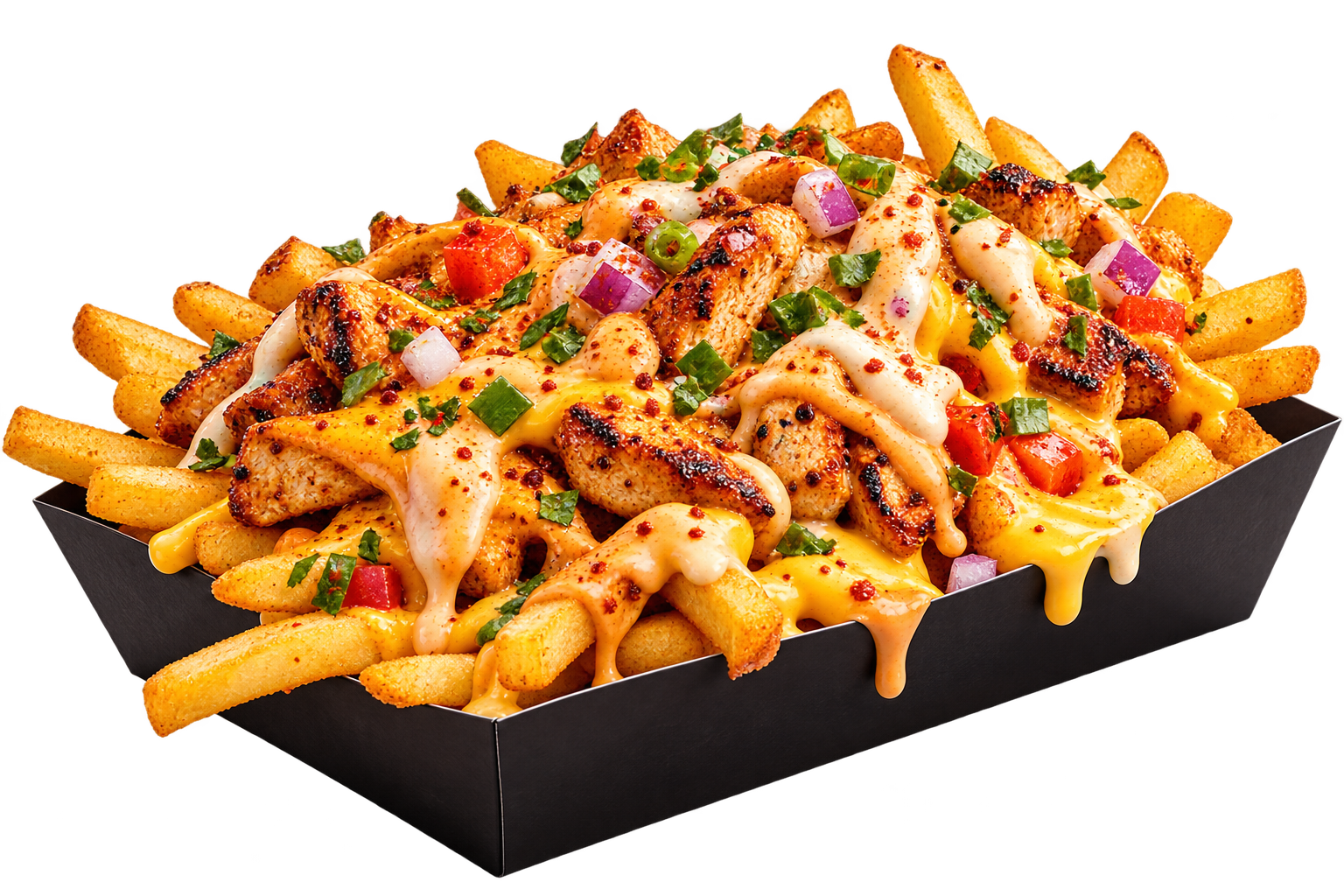 LOADED FRIES